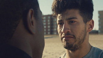 #5 The Surf Report