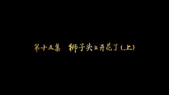 第15集 狮子头上开花了（上）