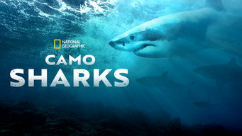 #9 Camo Sharks
