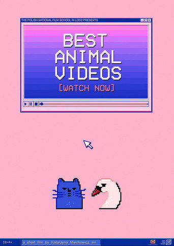 BEST ANIMAL VIDEOS [WATCH NOW] (1970)