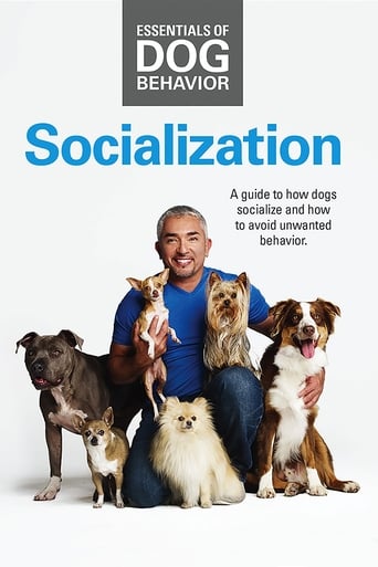 Poster för Essentials of Dog Behavior: Socialization