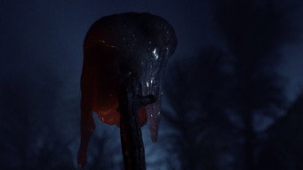 #18 Крапля