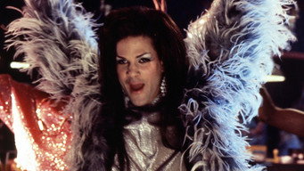 Stonewall media image