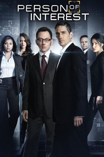 poster of Person of Interest