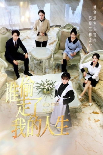 谁偷走了我的人生 poster