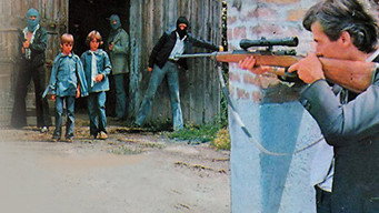 A Special Cop in Action (1976)