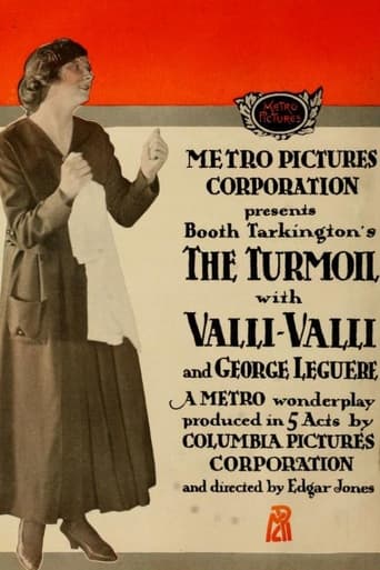 Poster of The Turmoil