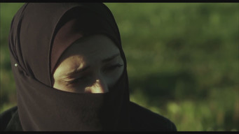 Border (2013)