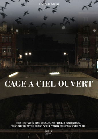 Cage À Ciel Ouvert