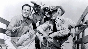 Galeria 4 - Tarántula