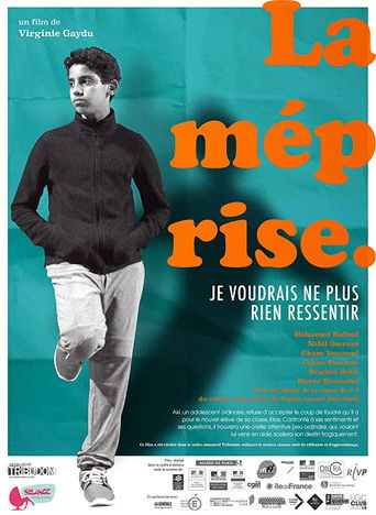 The Misunderstanding poster