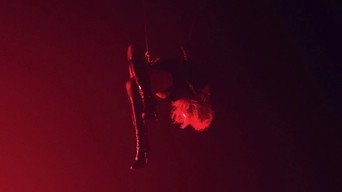 #6 Confessions II