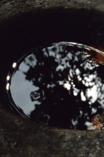 The most fragile of species poster