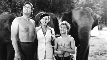 Tarzan and the Amazons (1945)