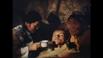 Territory (1979)