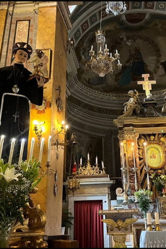 Sfilata di sant'antonio (2008)