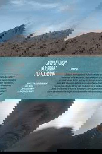 Like water, stone and foam (2024)