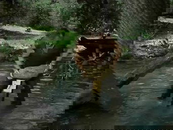 Imagem do episódio