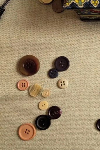 Another Dress, Another Button poster