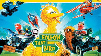 Follow That Bird backdrop 10