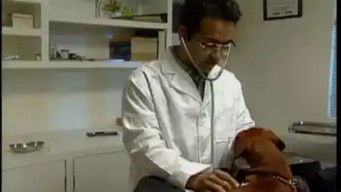 Episode 29 — Episode 29