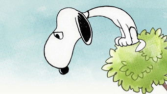 Episode 60 — Beware of the Dog