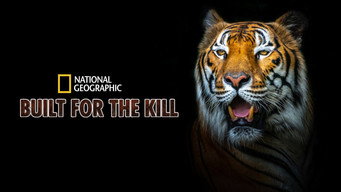 Built for the Kill (2001-2011)