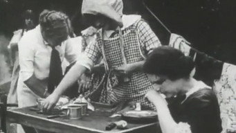 Petticoat Camp (1912)