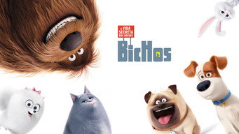Escena 3 de Mascotas