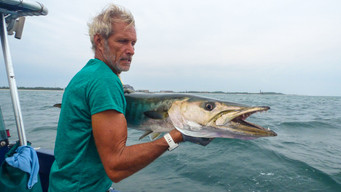#7 Fishing for Giants