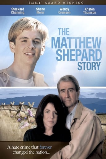 Poster of The Matthew Shepard Story