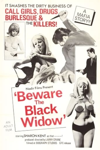 Poster of Beware the Black Widow