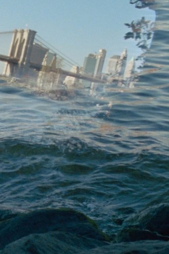 Floods Recede to Luxury poster