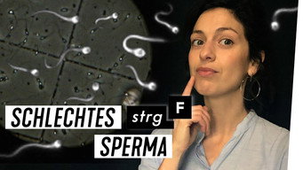 Episode 41