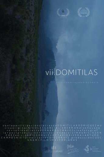 VII Domitilas (2020)
