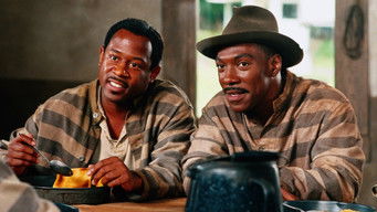 Galeria 2 - Condenados a fugarse