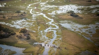 #9 Into The Okavango