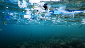 Océans, le mystère plastique (2016)