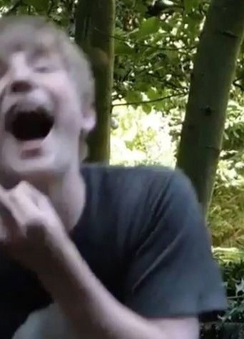 Summer Serenade poster