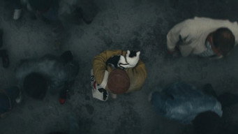 #35 Тихе місце: День перший