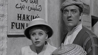 #8 Carry On Spying