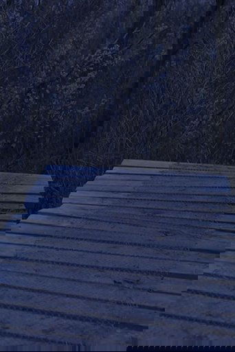 Rejigging Nest In My Diaries