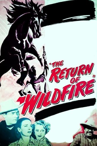 The Return of Wildfire en streaming 