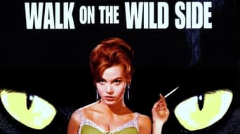 Galeria 1 - La gata negra