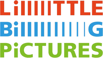 LiTTLE BiG PiCTURES