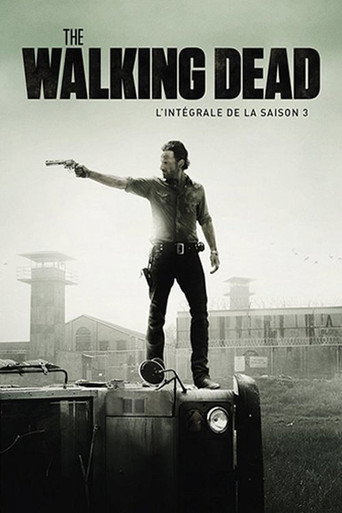 The Walking Dead - S3 - Épisode 3 : Marchez avec moi - Affiche