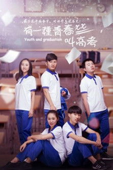 有一种青春叫高考 poster