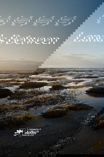 Lands Between