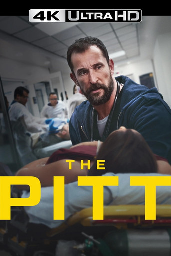The Pitt (2025)