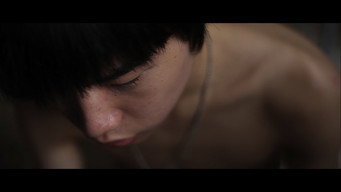野犬與貓咪 – Szenenbild
